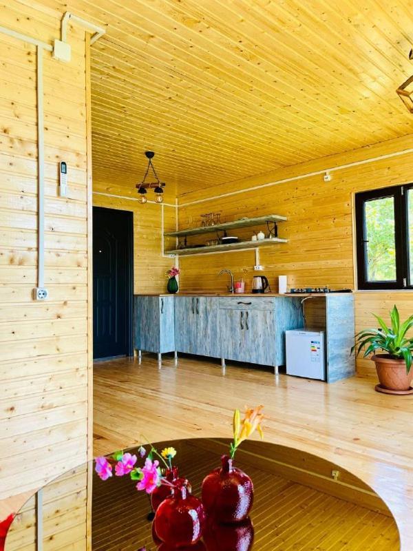 Paradise Inn Gegelidzeebi 外观 照片